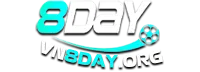 vn8day.org
